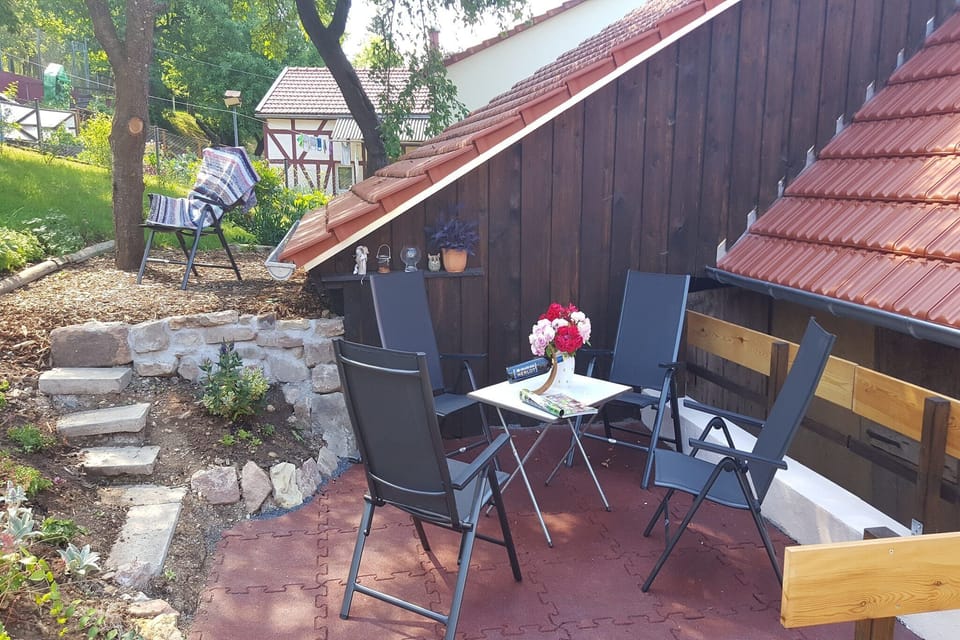 Garden [summer]