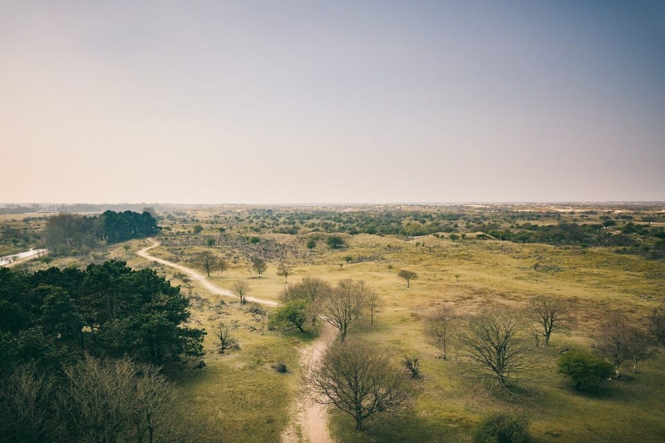 Surroundings [summer] (1-5 km)