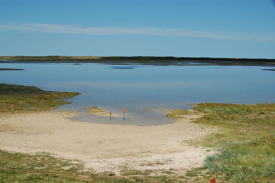 Region [summer] (>5 km)