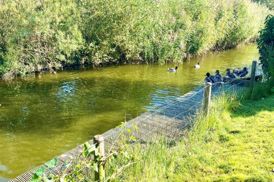 Surroundings [summer] (1-5 km)