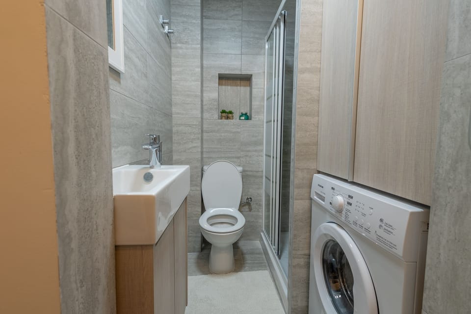 Toilet with washing machine (towels included)