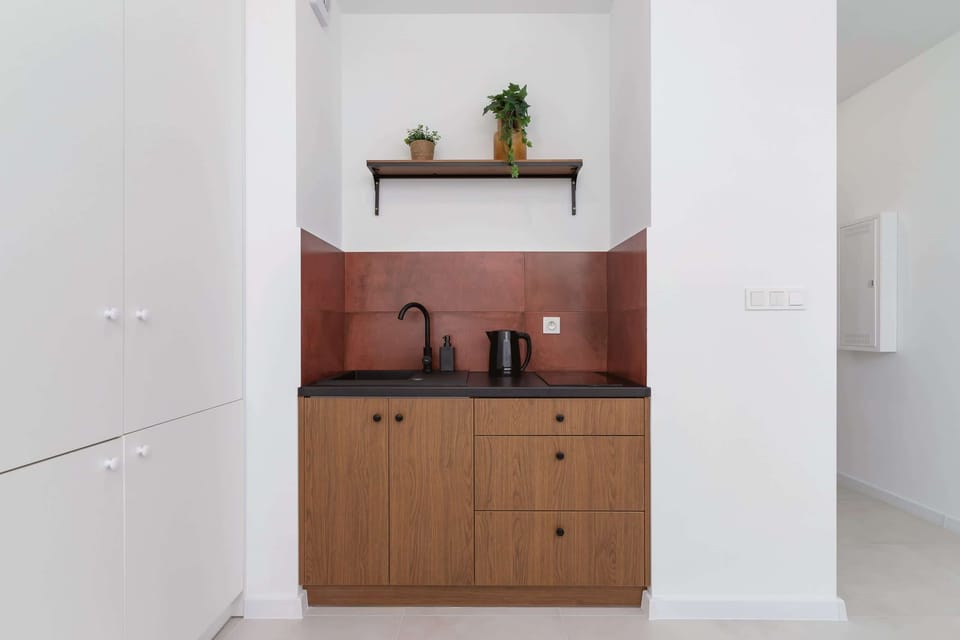 Kitchenette with wooden cabinets, a red backsplash, and decorative plants on the shelves.
