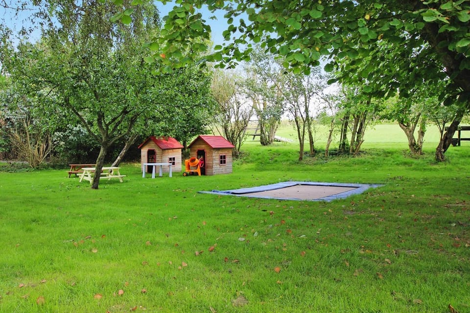 Garden [summer]