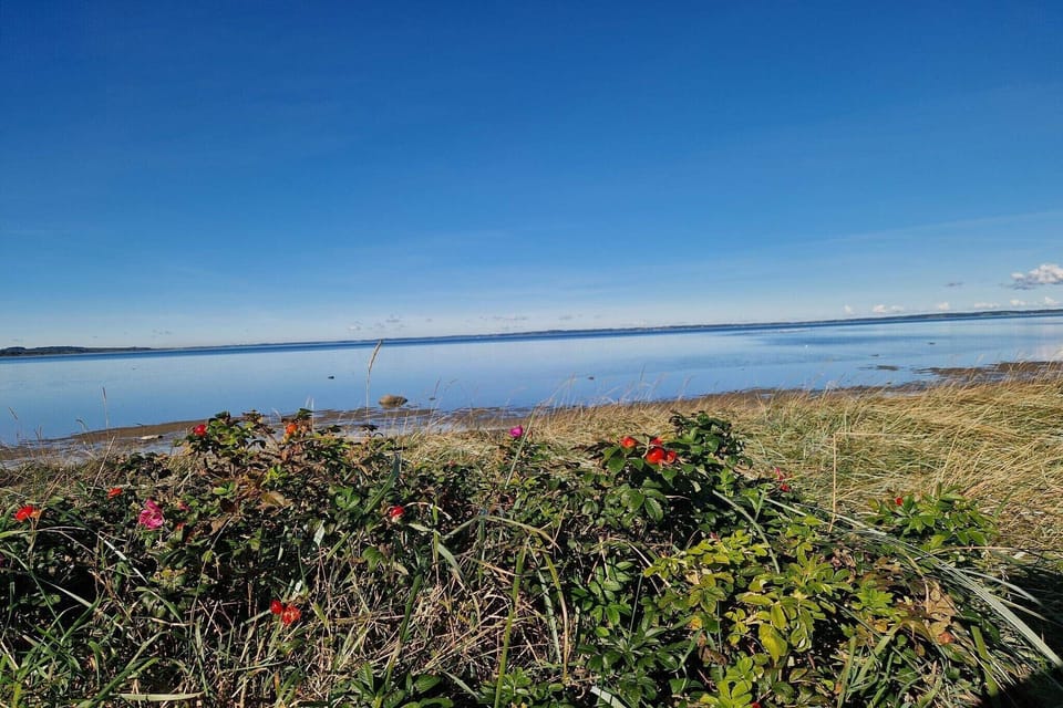 Water view
