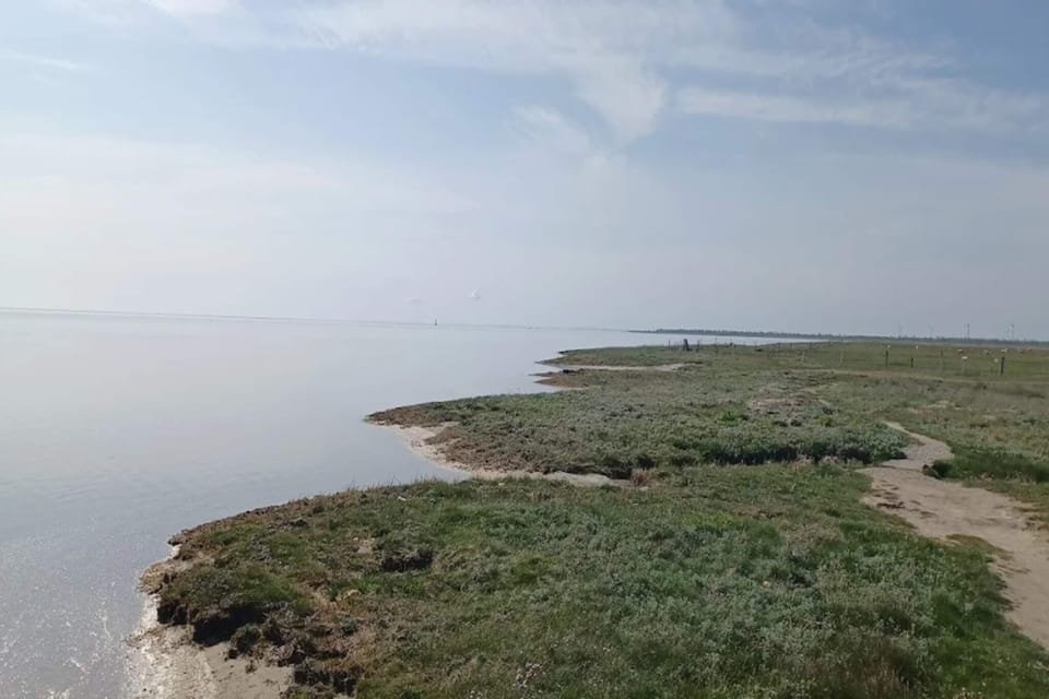 Water view