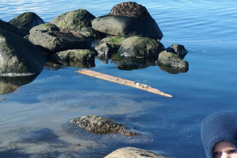 Water view