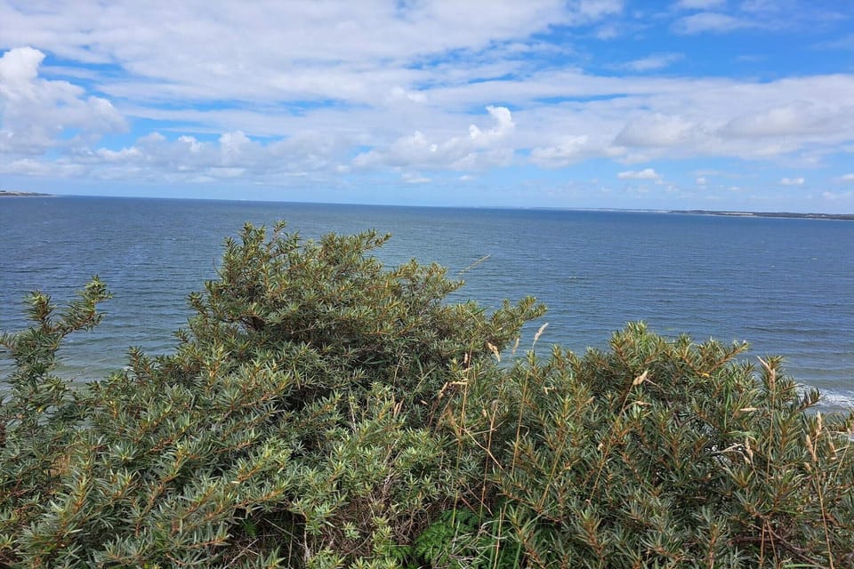Water view
