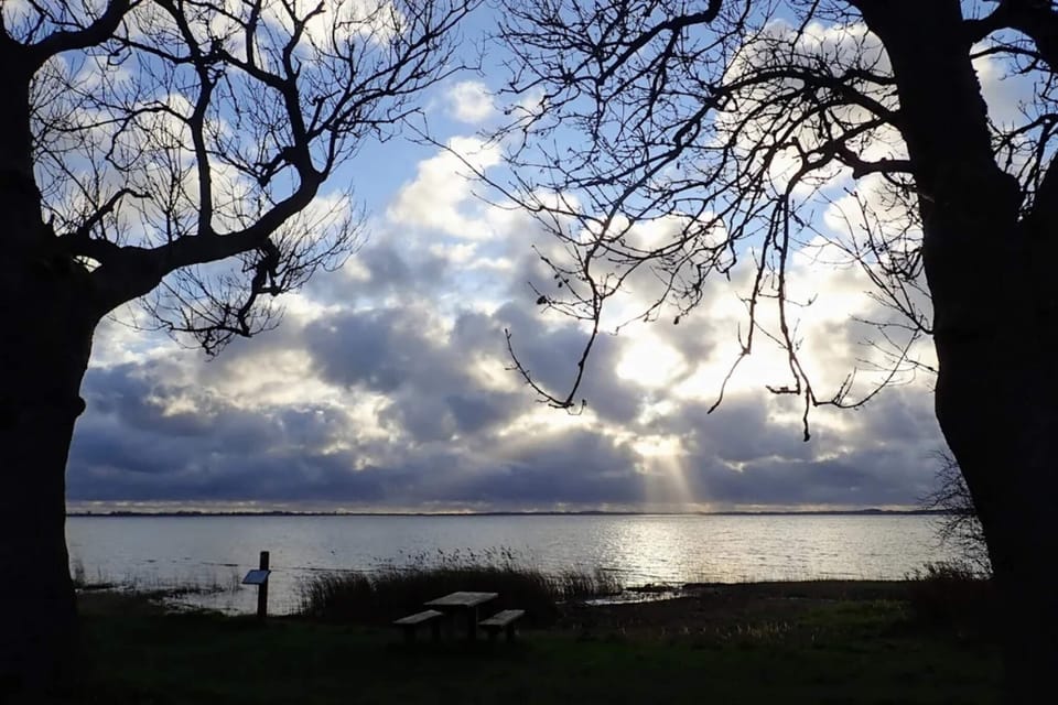 Water view