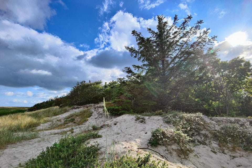 Miscellaneous