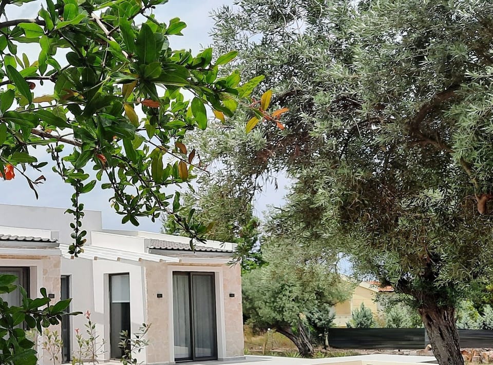 Junior Suite With Private Swimming Pool Apartment hotel in Halkidiki