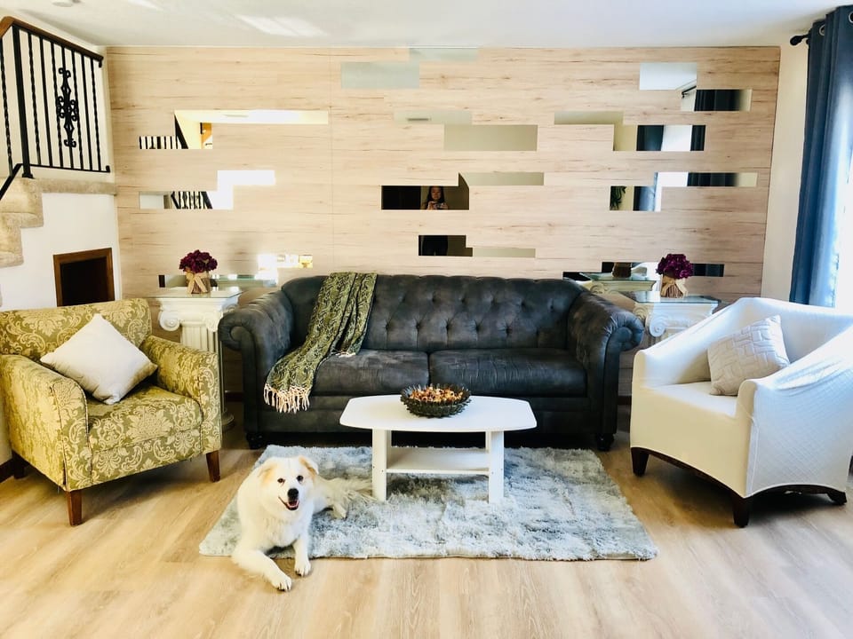Living room couch