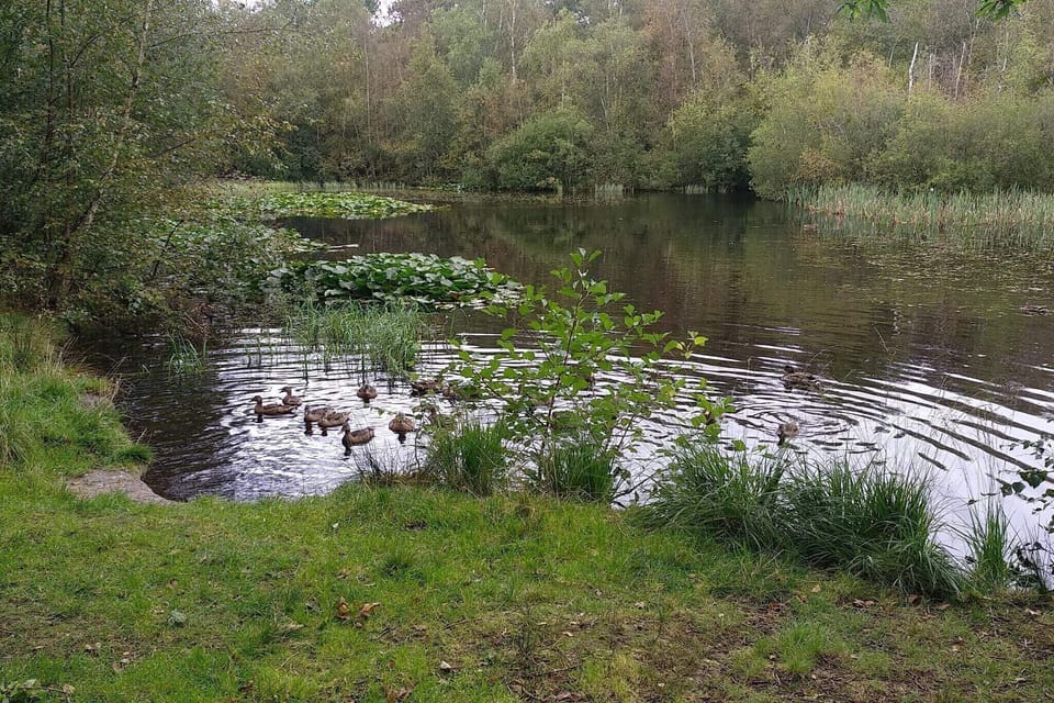 Water view