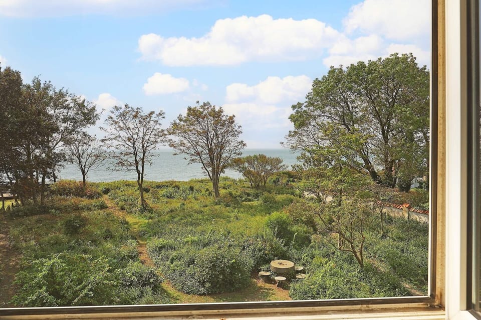 Water view
