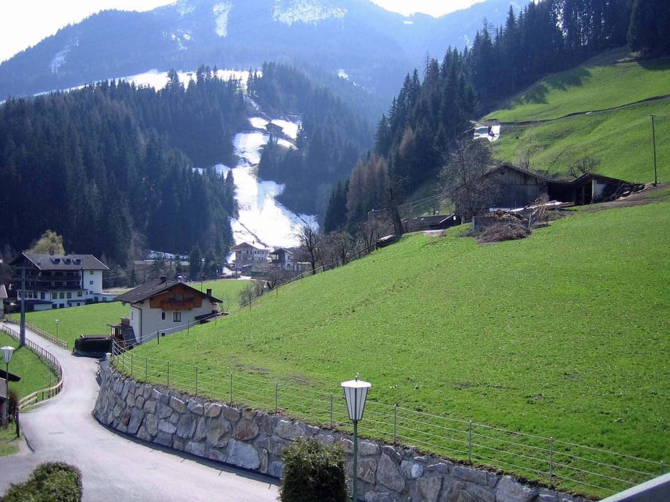 View from Holiday Home [summer]