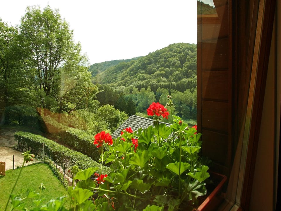 View from Holiday Home [summer]