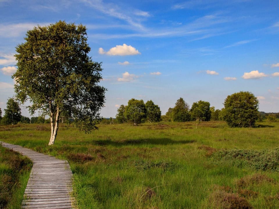 Surroundings [summer] (1-5 km)