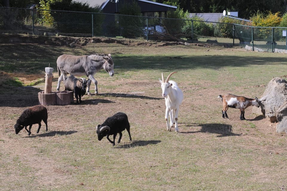 Holiday Park Facilities and Services 