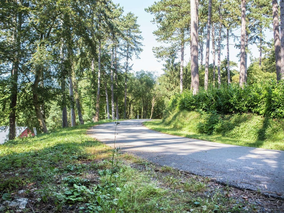 Immediate Surroundings [summer] (<1 km)