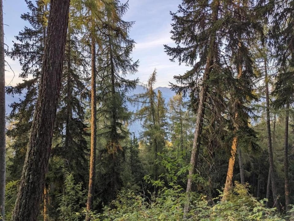 Surroundings [summer] (1-5 km)