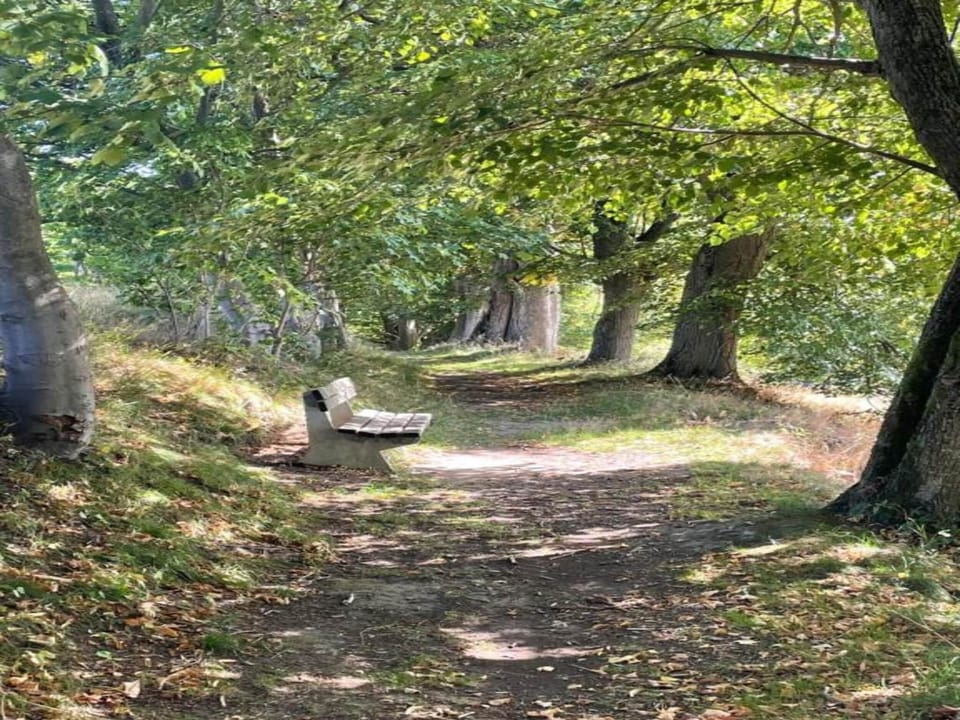 Surroundings [summer] (1-5 km)