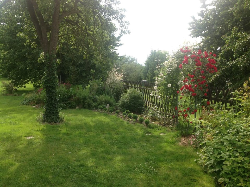 Garden [summer]