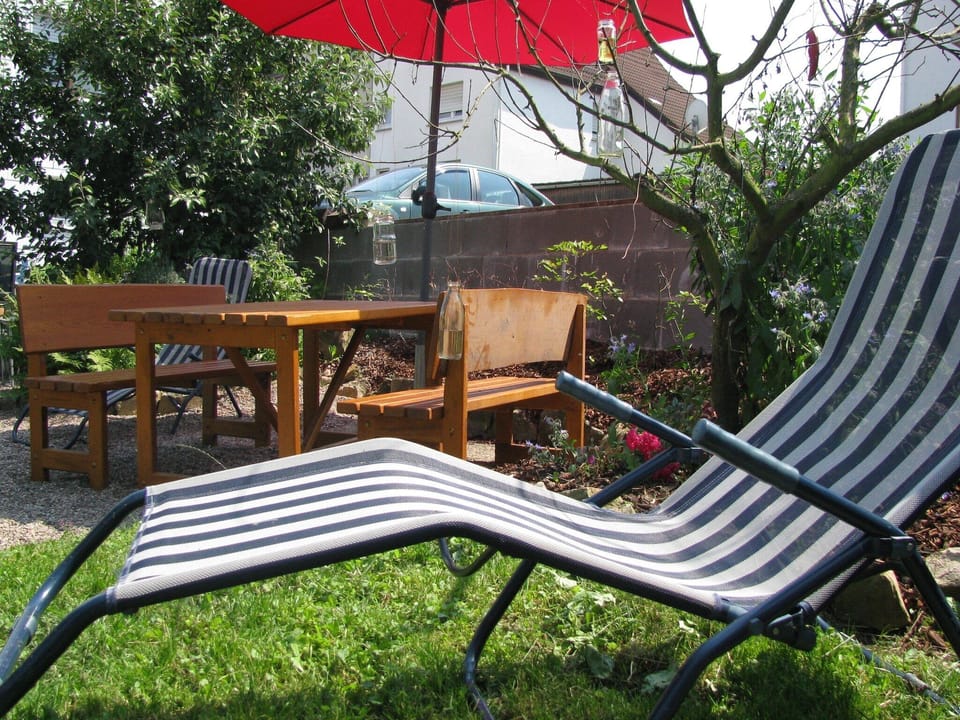 Garden [summer]