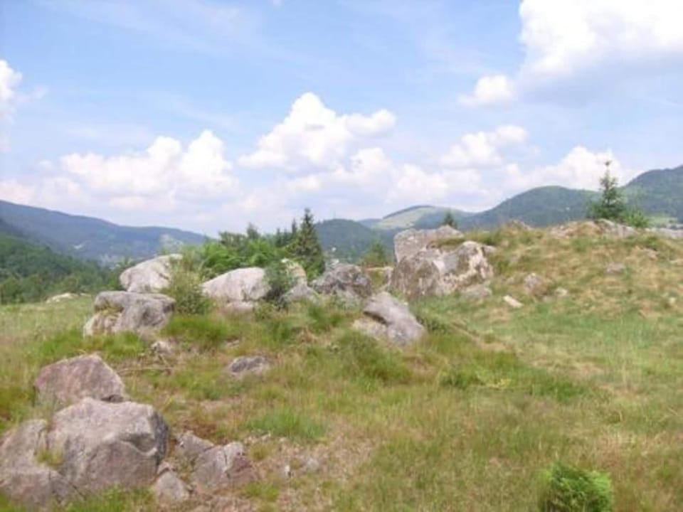 Region [summer] (>5 km)