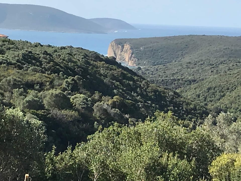 Surroundings [summer] (1-5 km)