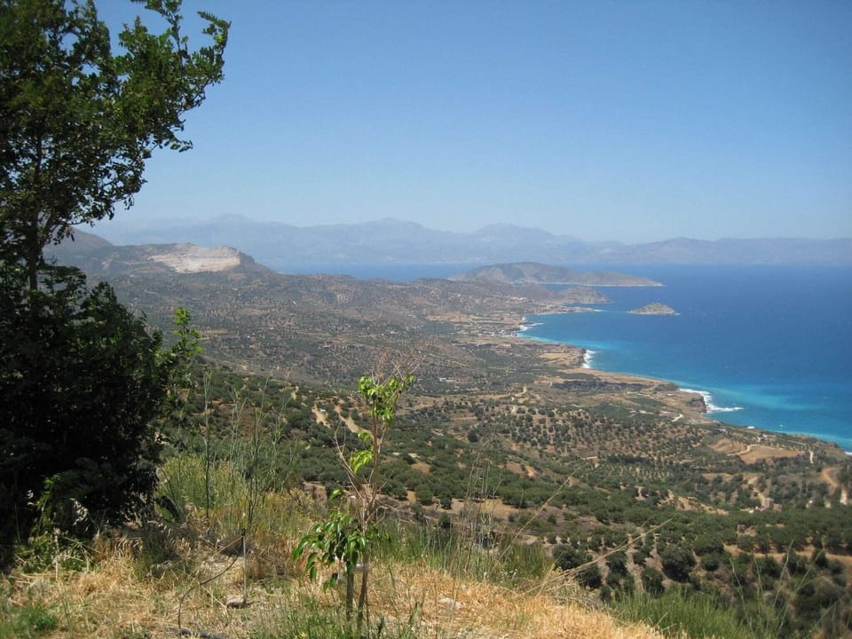 Region [summer] (>5 km)
