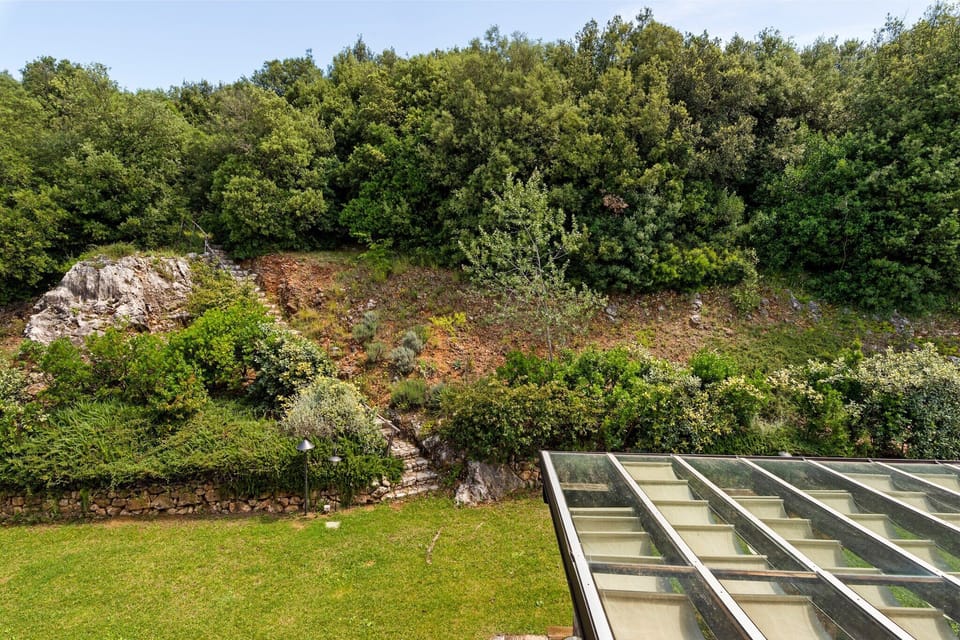 Garden [summer]