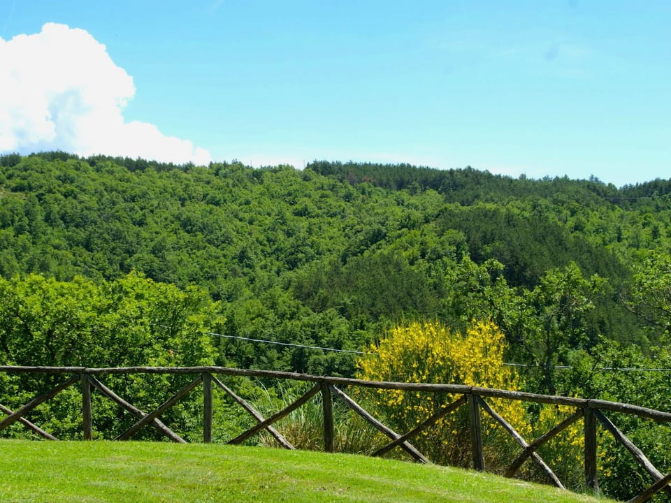 View from Holiday Home [summer]