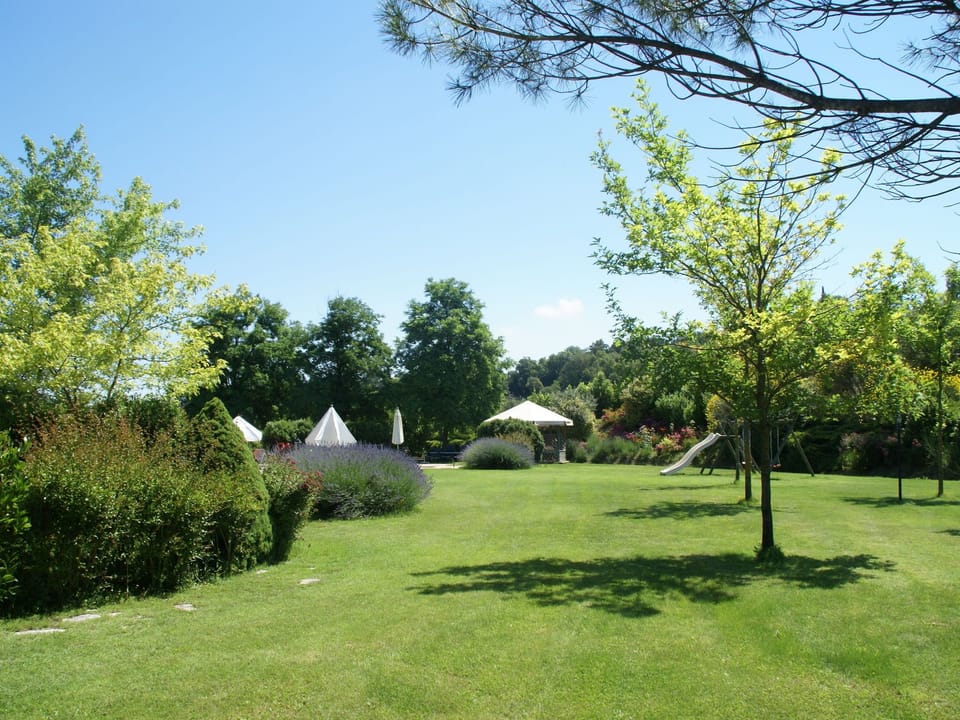 Garden [summer]