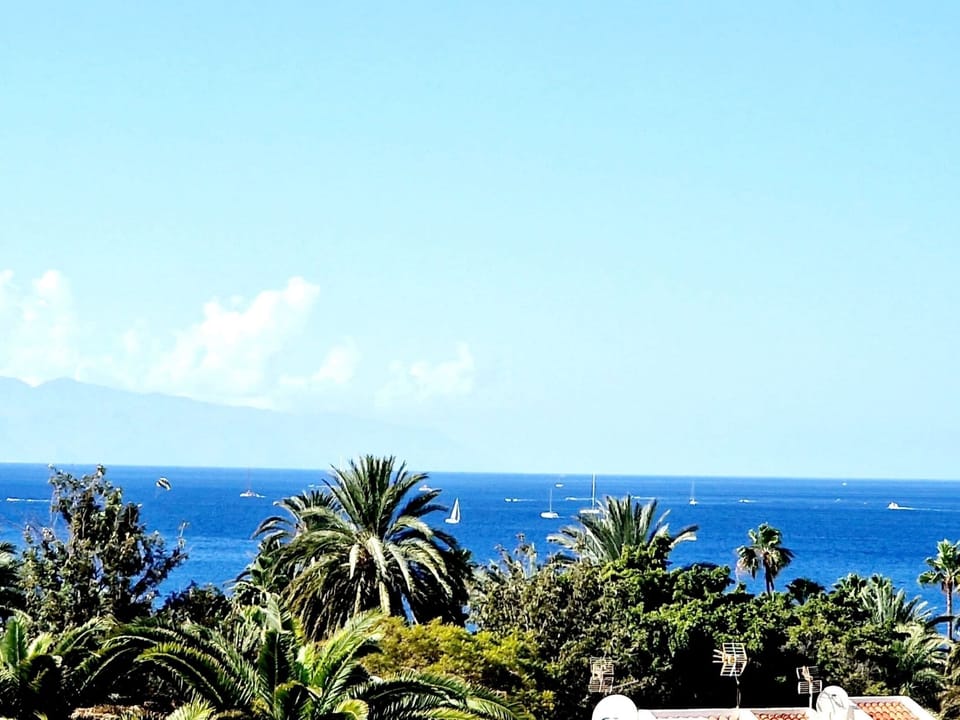Beach/ocean view