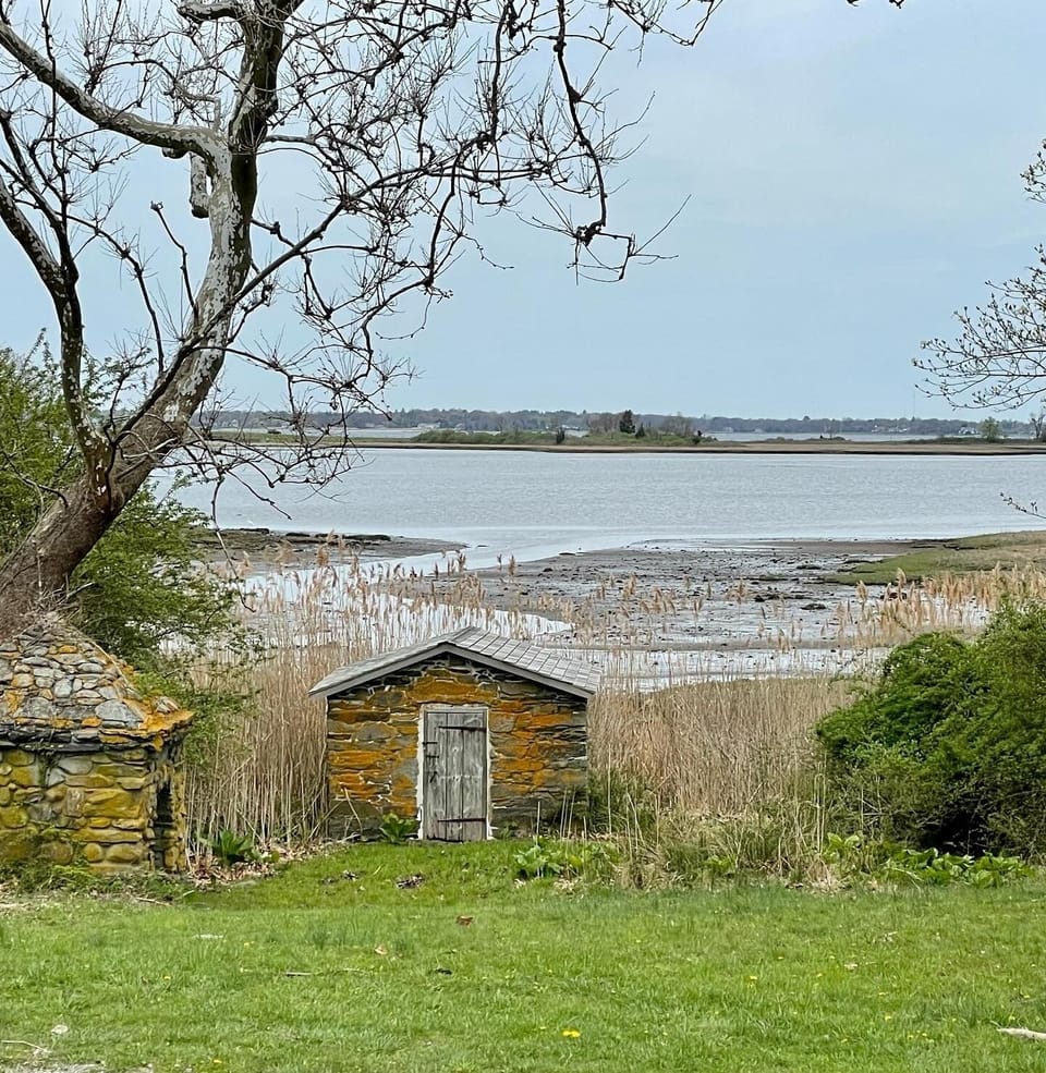 Colt State Park has numerous walking trails — walking distance from Sweet Spot.