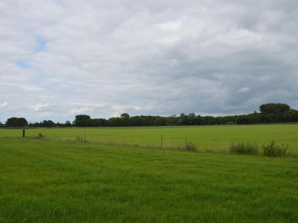 Region [summer] (>5 km)