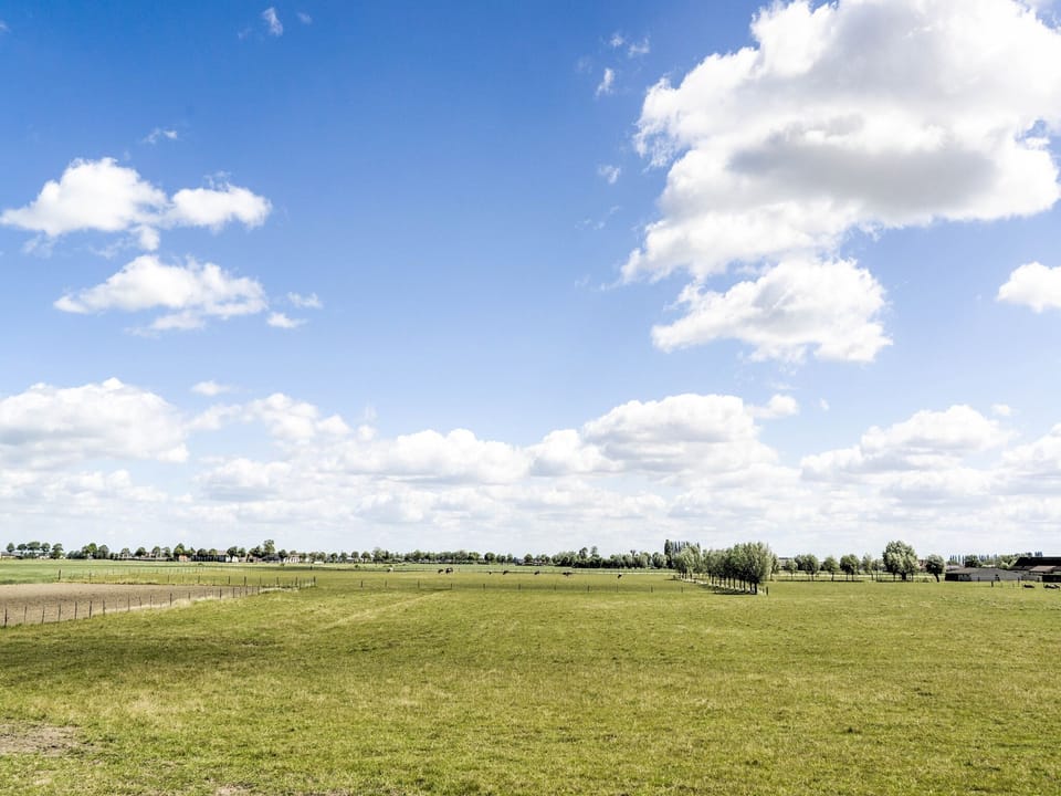 View from Holiday Home [summer]