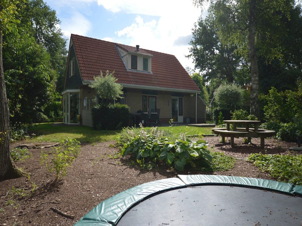 Garden [summer]