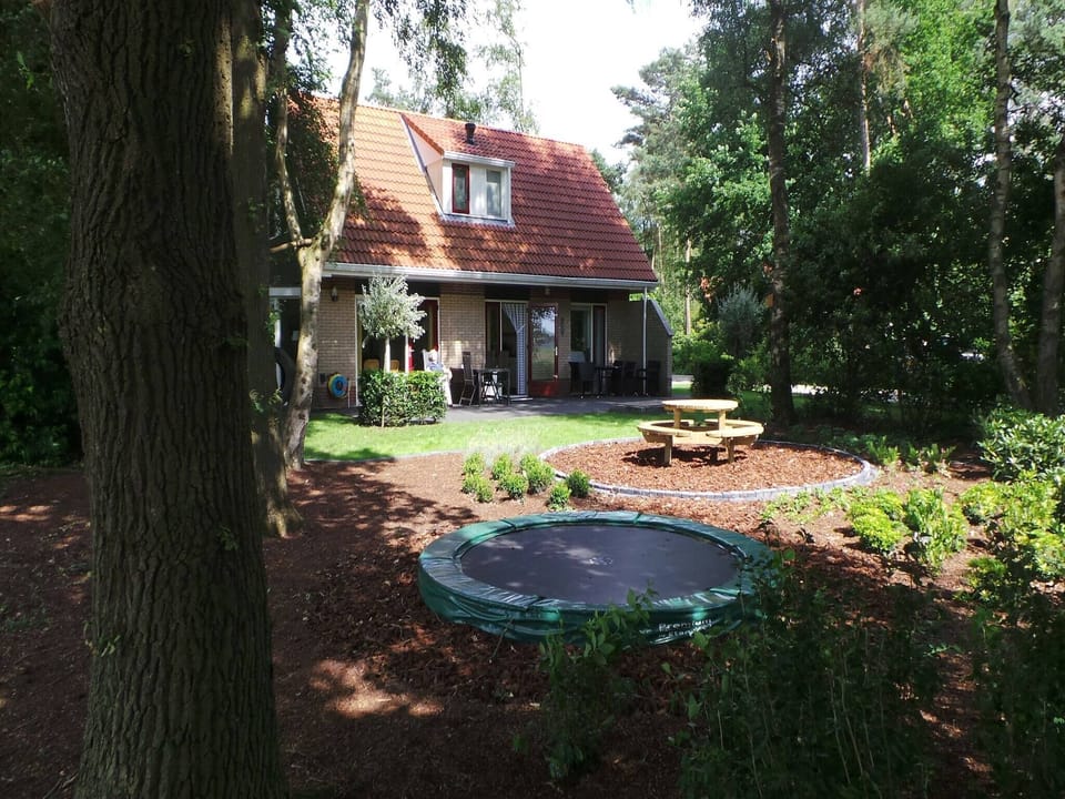 Garden [summer]