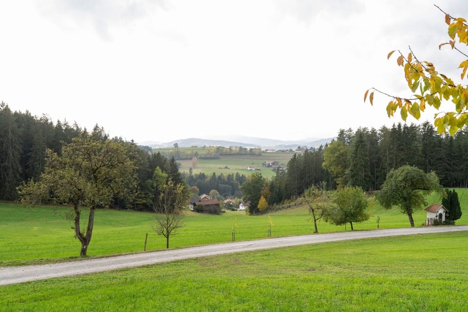 Surroundings [summer] (1-5 km)