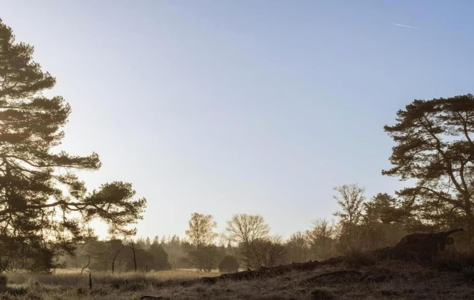 Surroundings [summer] (1-5 km)