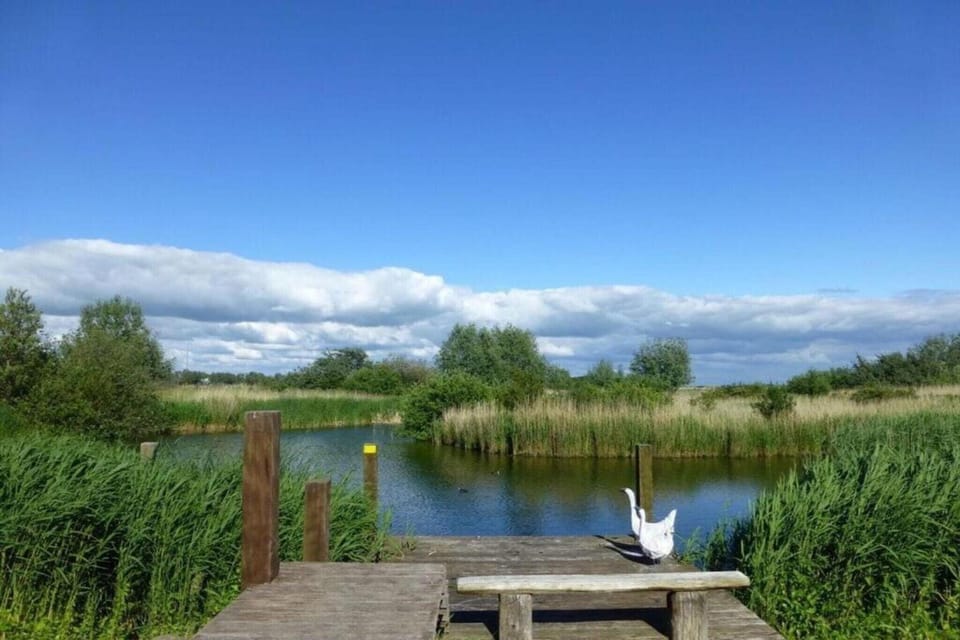 Surroundings [summer] (1-5 km)