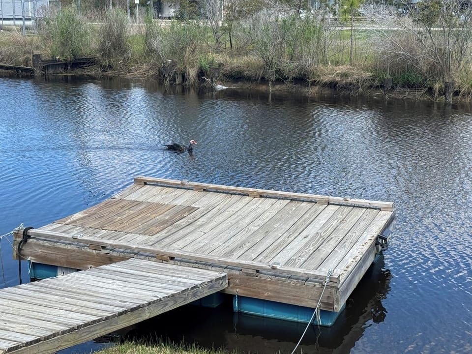 Floating dock