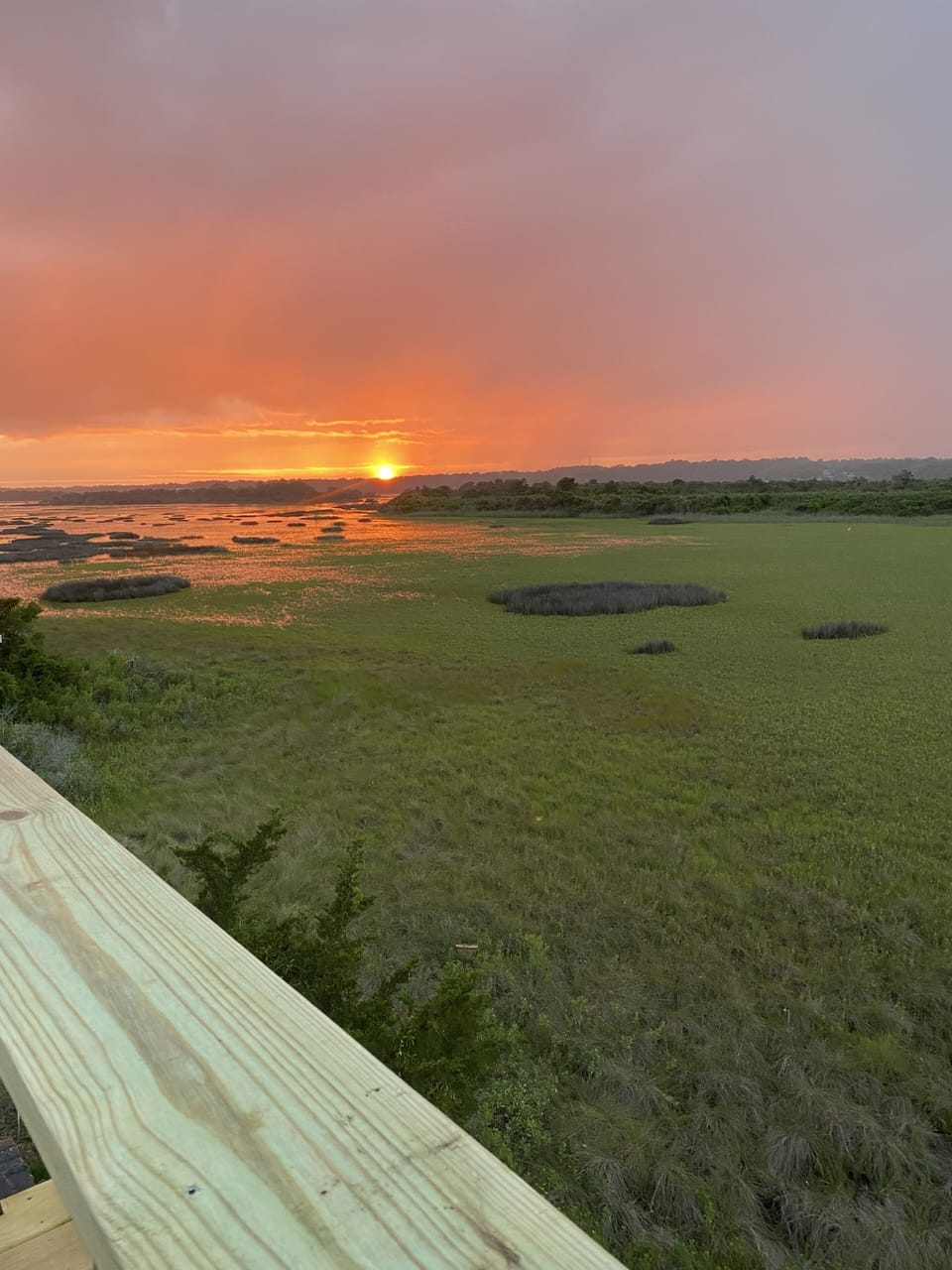 View from property