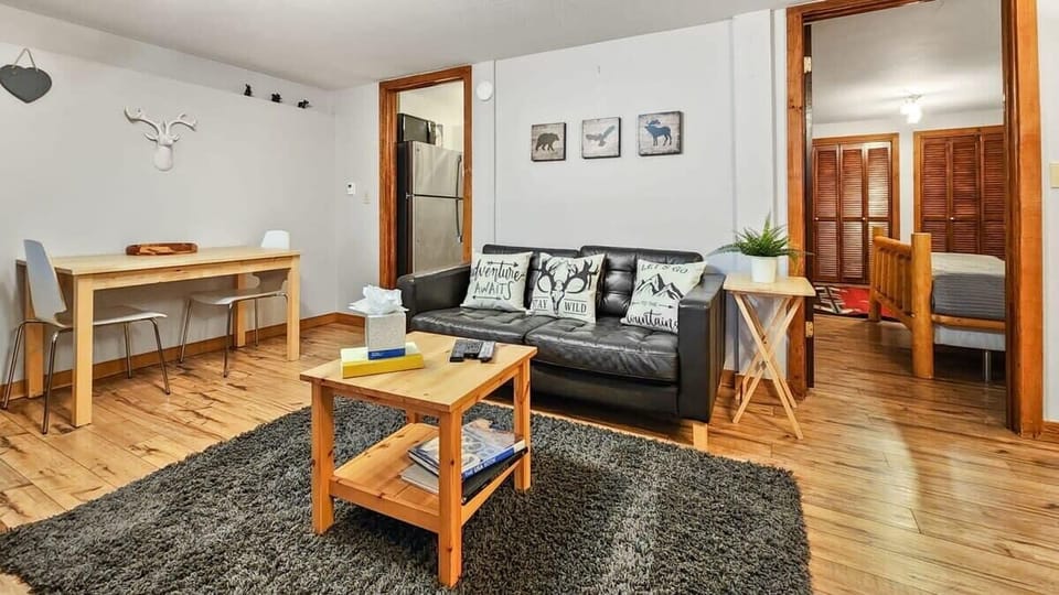 Family room: TV with cable, gas fireplace, pull pull-out sofa, lower floor