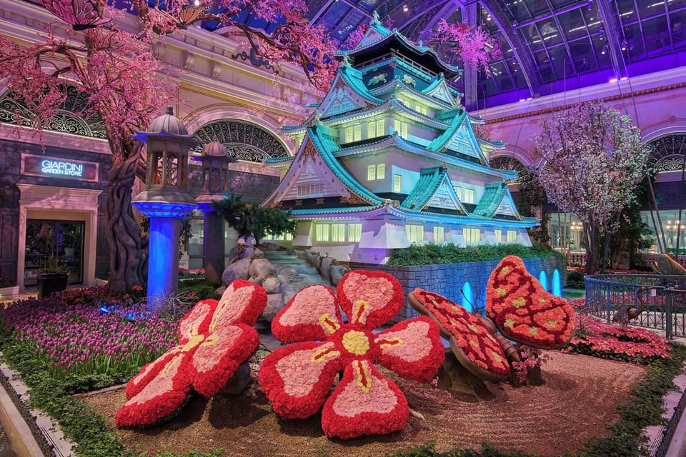 Step into immersive displays that make evenings feel magical.