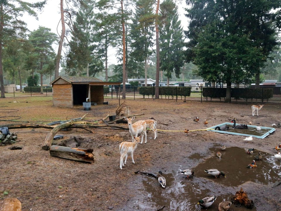 Holiday Park Facilities and Services 