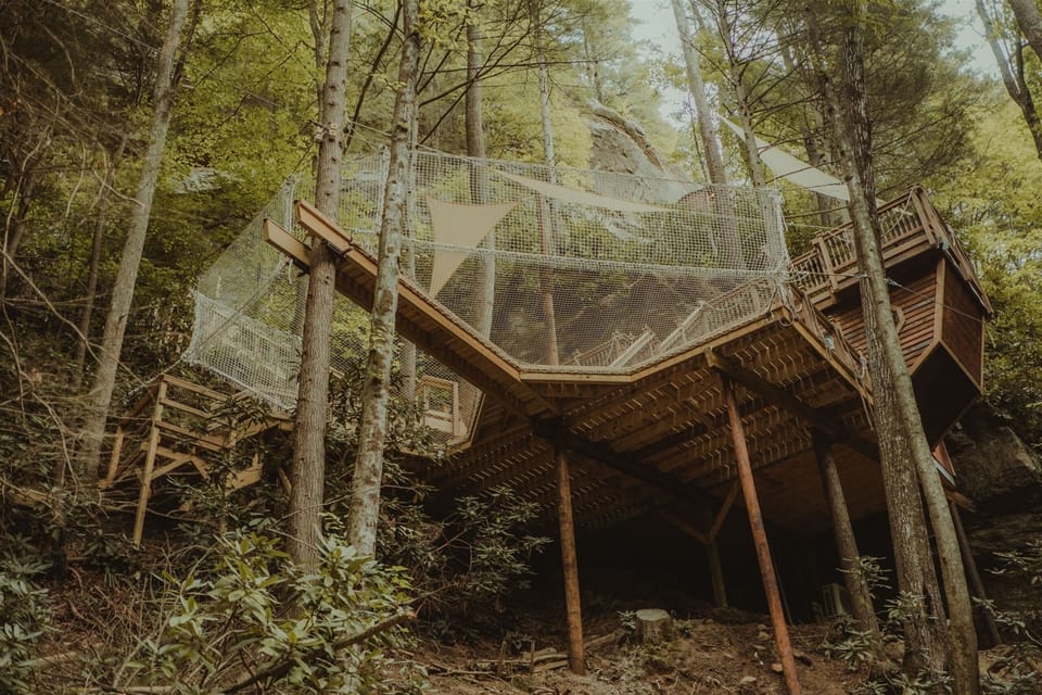 Net from below
