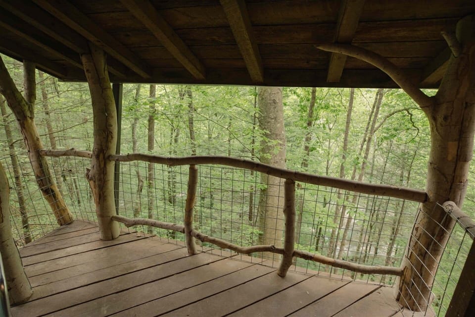 Back deck overlooking the trees
