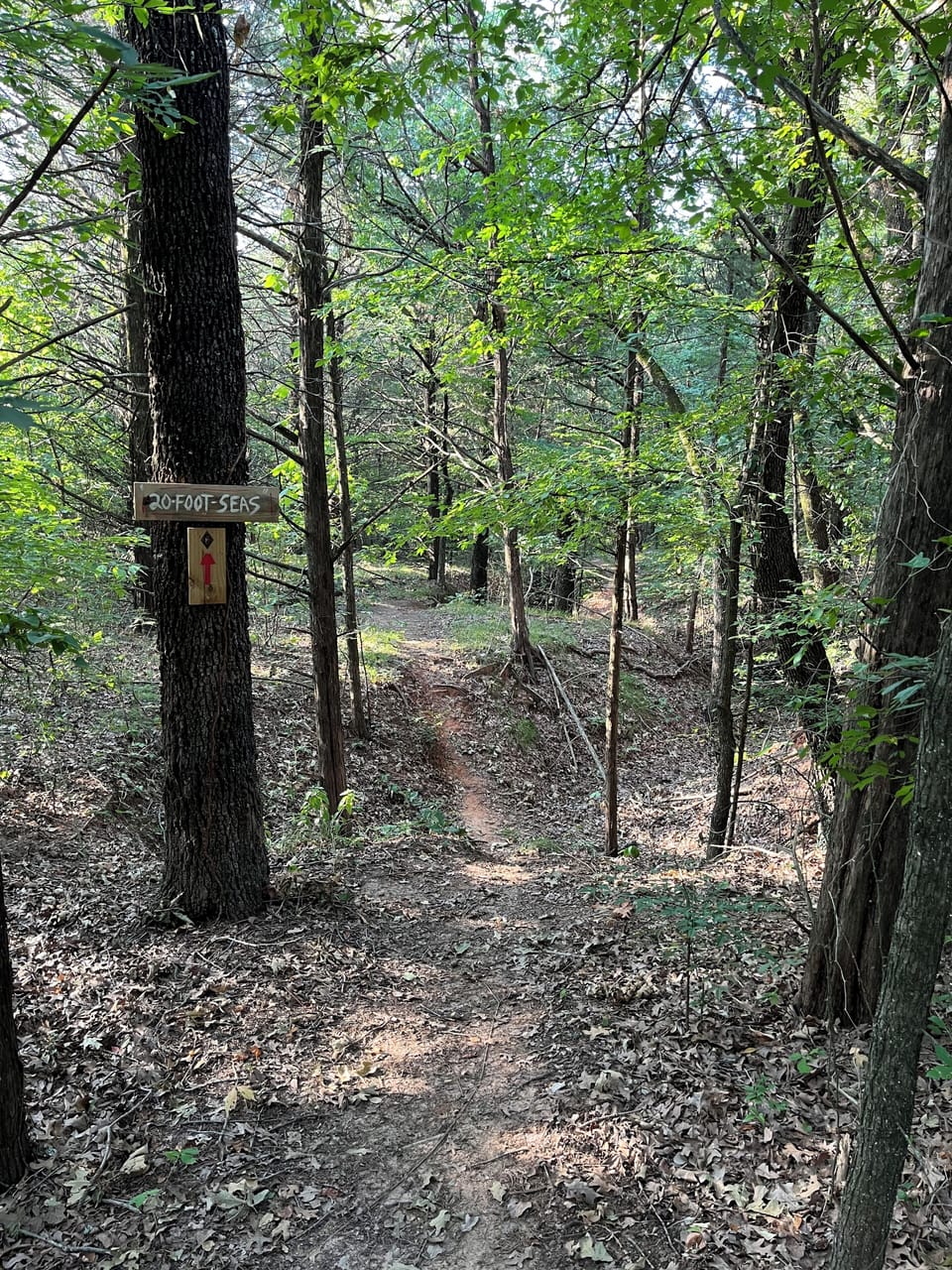 The Mountain Bike trails are a hidden gem!