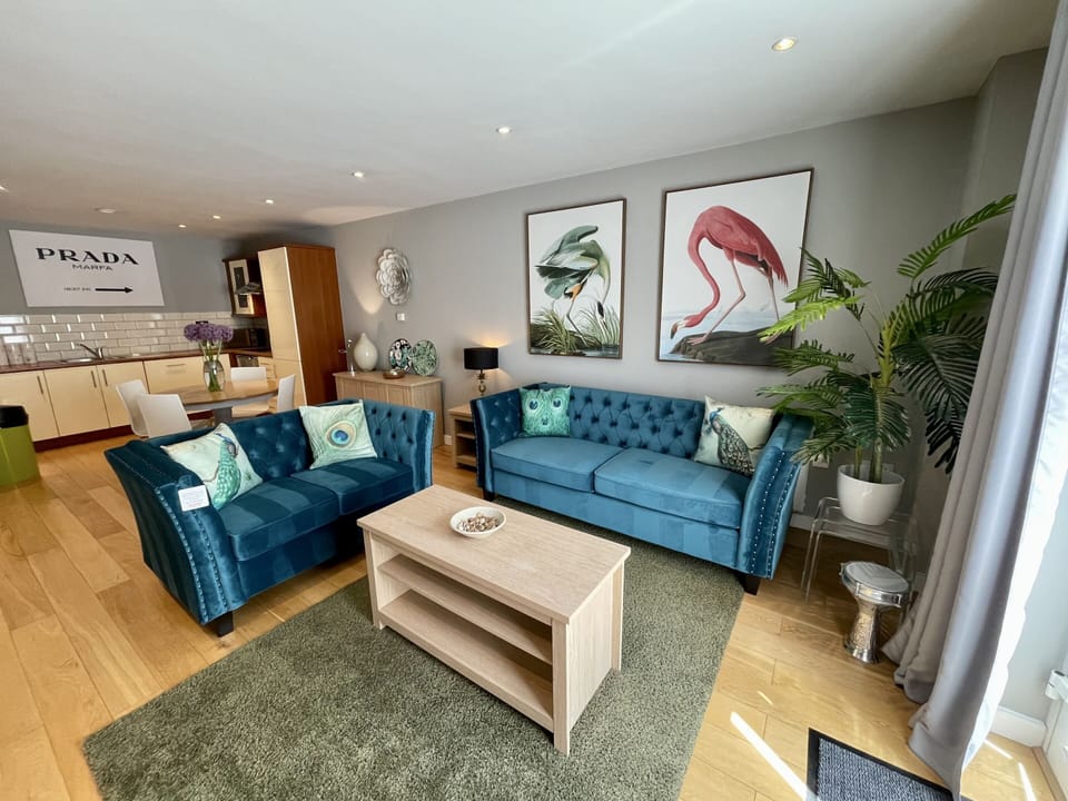 Open plan contemporary living dining space
